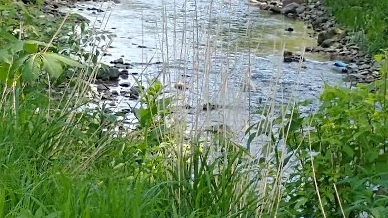 Garfield Park Red Oak Shelter - Garfield Heights, OH