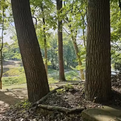 Garfield Park Reservation - Garfield Heights, OH