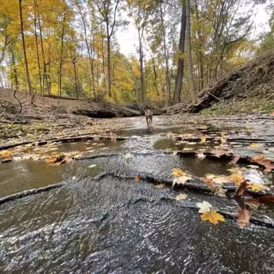 Garfield Park Reservation - Garfield Heights, OH