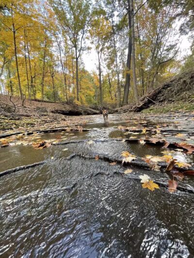 Garfield Park Reservation - Garfield Heights, OH