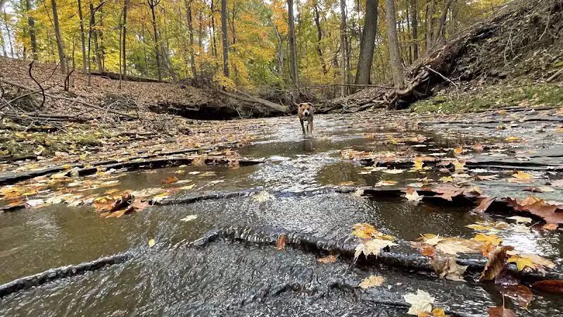 Garfield Park Reservation - Garfield Heights, OH