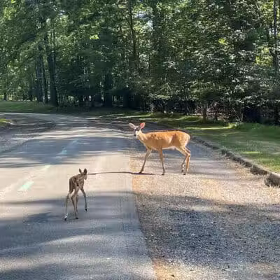 Garfield Park Reservation - Garfield Heights, OH