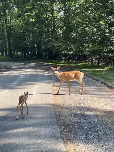 Garfield Park Reservation - Garfield Heights, OH