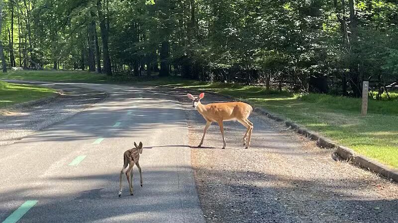 Garfield Park Reservation - Garfield Heights, OH
