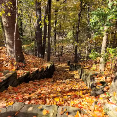 Garfield Park Reservation - Garfield Heights, OH