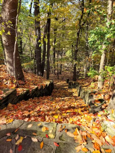 Garfield Park Reservation - Garfield Heights, OH