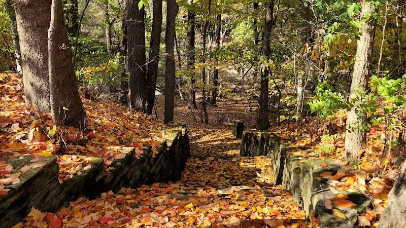 Garfield Park Reservation - Garfield Heights, OH