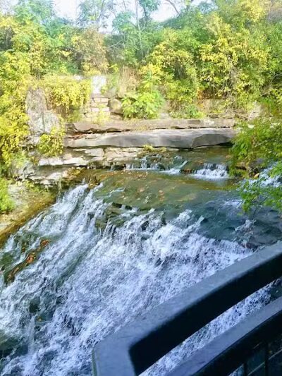 Garfield Park Reservation - Garfield Heights, OH