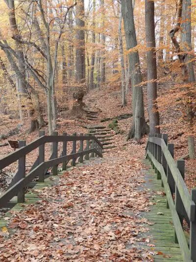 Garfield Park Reservation - Garfield Heights, OH