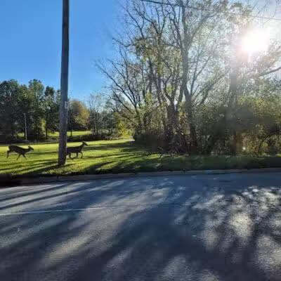 Jack C. Donovan Park - Garfield Heights, OH