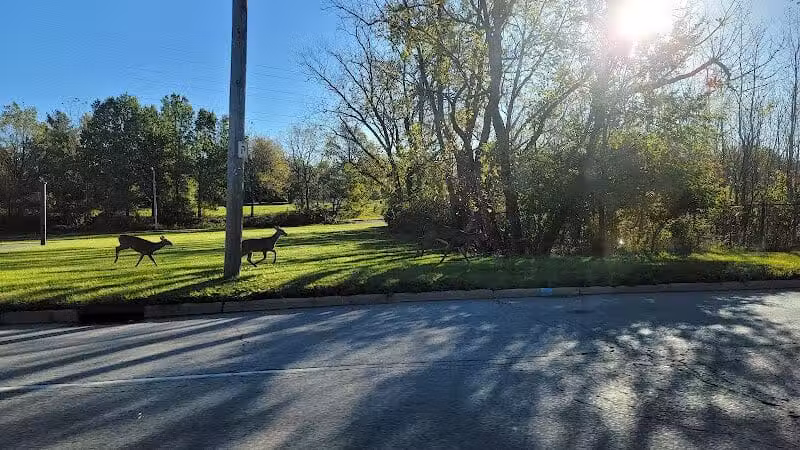 Jack C. Donovan Park - Garfield Heights, OH