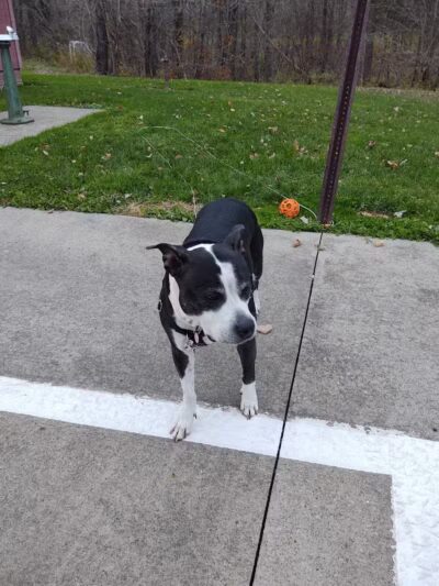 Tom Hardesty Village Park - Garrettsville, OH