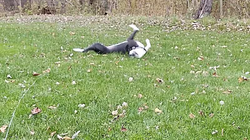 Tom Hardesty Village Park - Garrettsville, OH