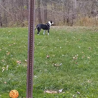 Tom Hardesty Village Park - Garrettsville, OH