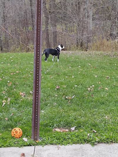 Tom Hardesty Village Park - Garrettsville, OH