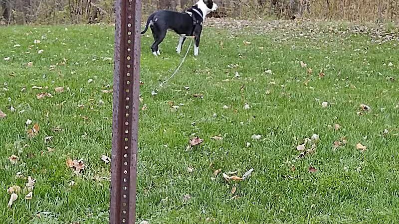 Tom Hardesty Village Park - Garrettsville, OH