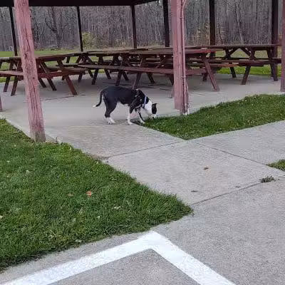 Tom Hardesty Village Park - Garrettsville, OH