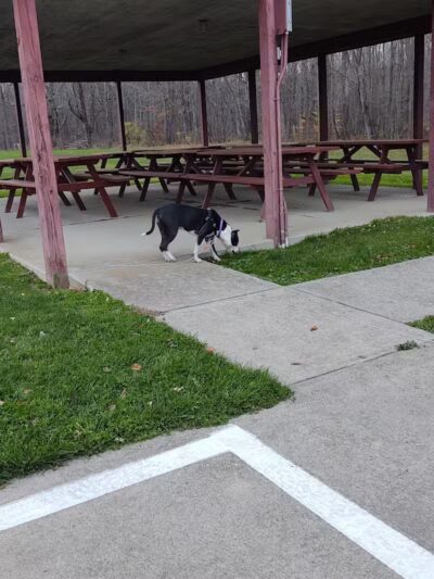 Tom Hardesty Village Park - Garrettsville, OH