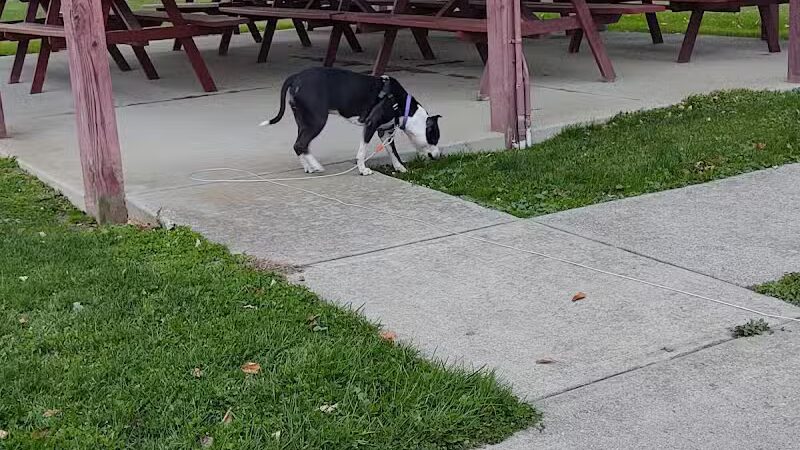 Tom Hardesty Village Park - Garrettsville, OH
