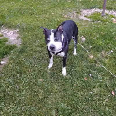 Tom Hardesty Village Park - Garrettsville, OH