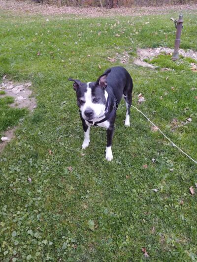 Tom Hardesty Village Park - Garrettsville, OH