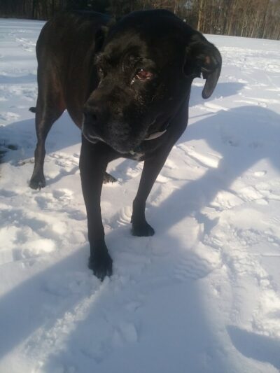 Feller's Field - Gates Mills, OH