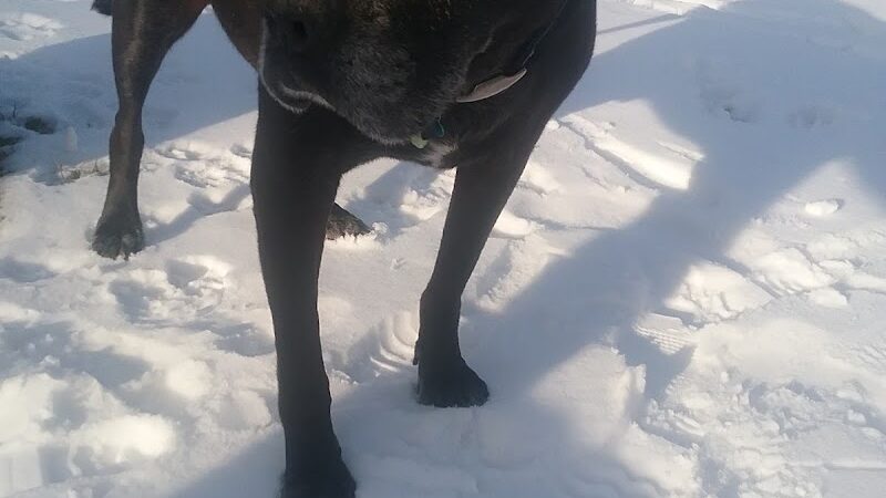 Feller's Field - Gates Mills, OH