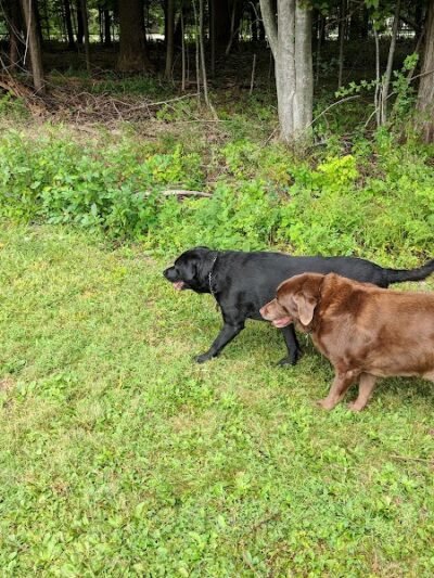 Feller's Field - Gates Mills, OH