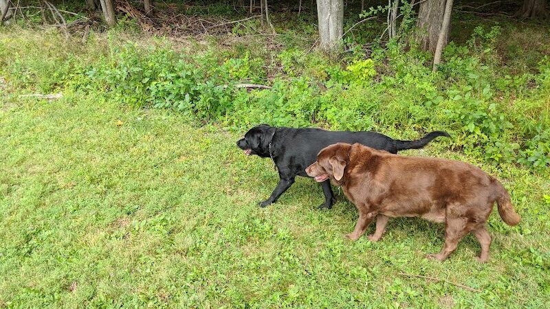 Feller's Field - Gates Mills, OH