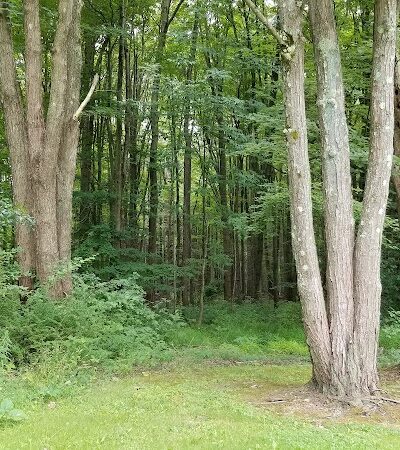 Feller's Field - Gates Mills, OH