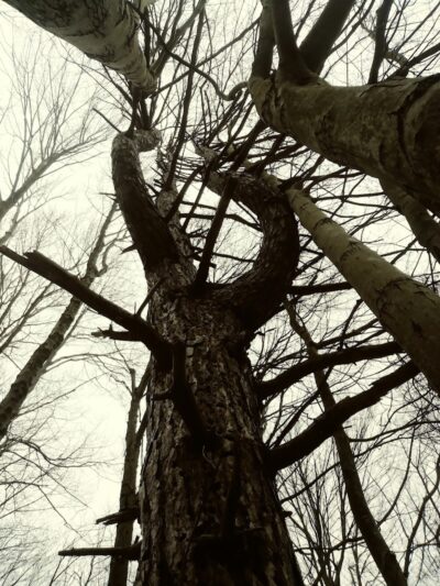 Feller's Field - Gates Mills, OH