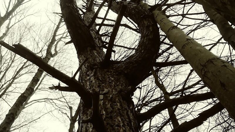 Feller's Field - Gates Mills, OH