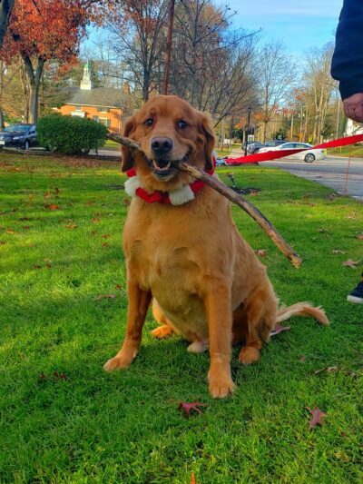 Gates Mills Arboretum - Gates Mills, OH