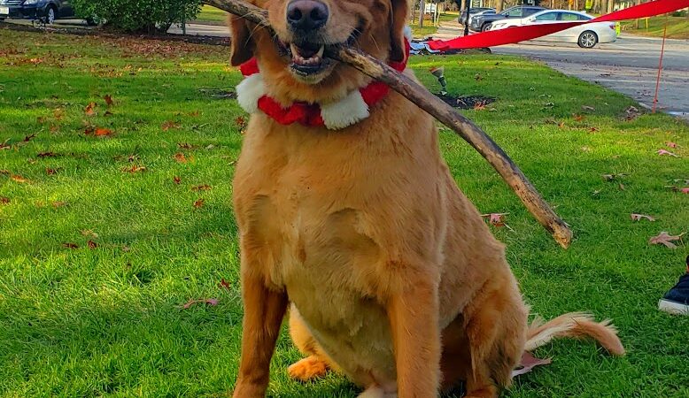 Gates Mills Arboretum - Gates Mills, OH