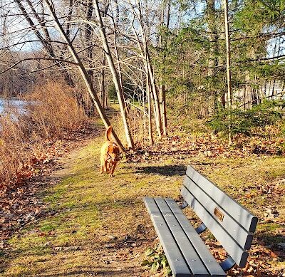 Gates Mills Arboretum - Gates Mills, OH