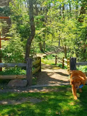 Gates Mills Arboretum - Gates Mills, OH