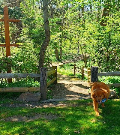 Gates Mills Arboretum - Gates Mills, OH
