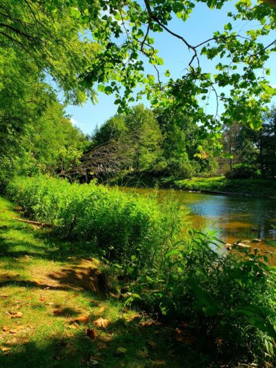 Gates Mills Arboretum - Gates Mills, OH