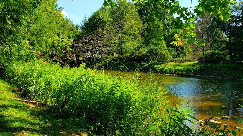 Gates Mills Arboretum - Gates Mills, OH
