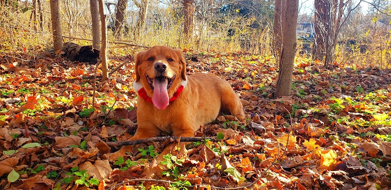 Gates Mills Arboretum - Gates Mills, OH