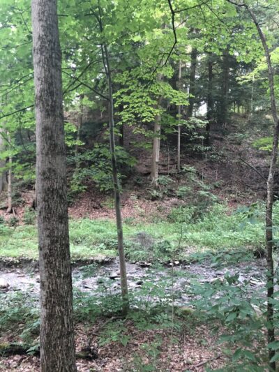 North Chagrin Metro Park - Gates Mills, OH