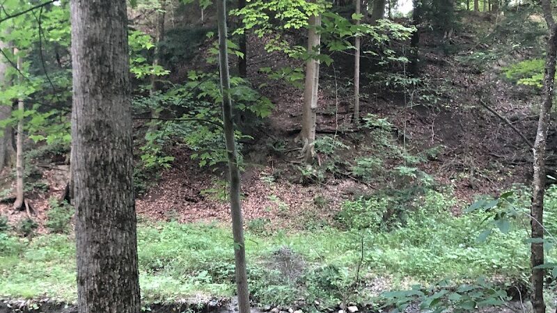 North Chagrin Metro Park - Gates Mills, OH