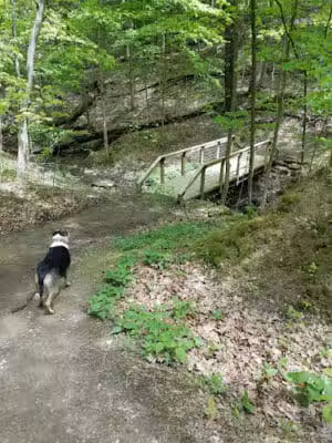 North Chagrin Metro Park - Gates Mills, OH