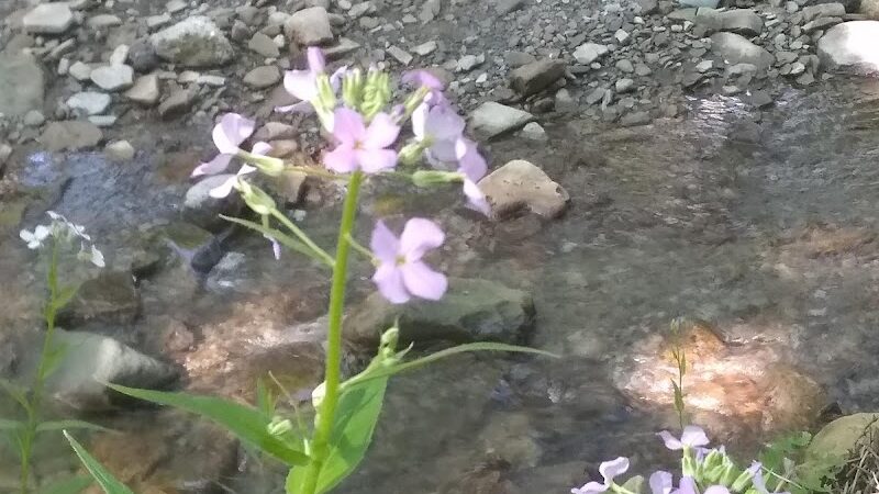 North Chagrin Metro Park - Gates Mills, OH