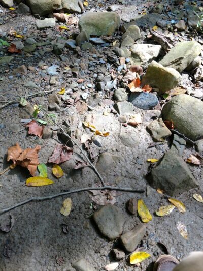 North Chagrin Metro Park - Gates Mills, OH