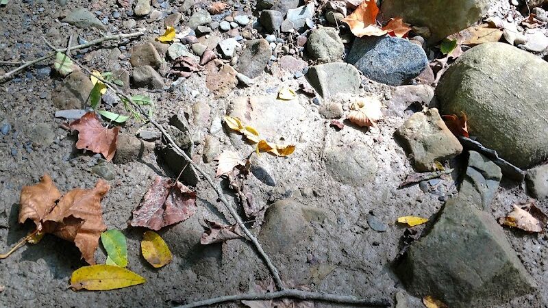 North Chagrin Metro Park - Gates Mills, OH