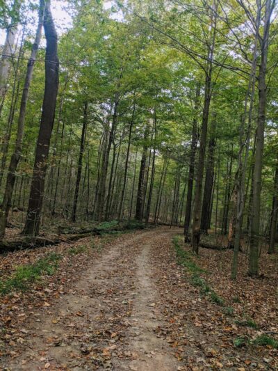 Wilson Mills Trailhead - Gates Mills, OH