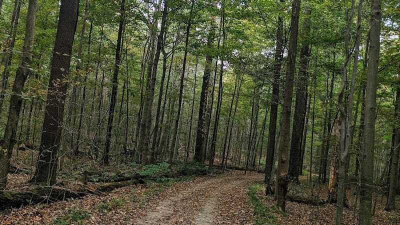 Wilson Mills Trailhead - Gates Mills, OH