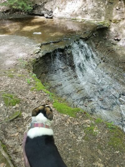 Wilson Mills Trailhead - Gates Mills, OH