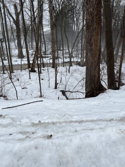 Wilson Mills Trailhead - Gates Mills, OH
